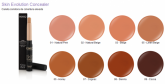 Skin Evolution Concealer